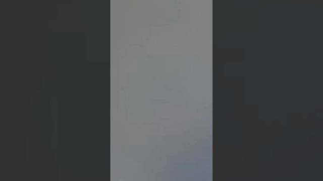 После очистки IRON-X-ом