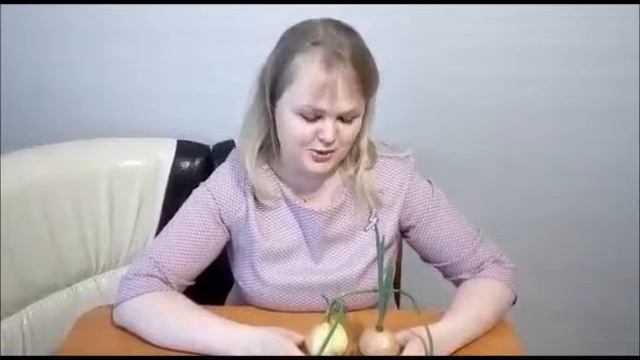 Как вырастить лук смотреть онлайн