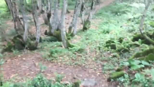 Интересное местечко - ПРИКЛЮЧЕНИЯ ГОРОШКА смотреть онлайн