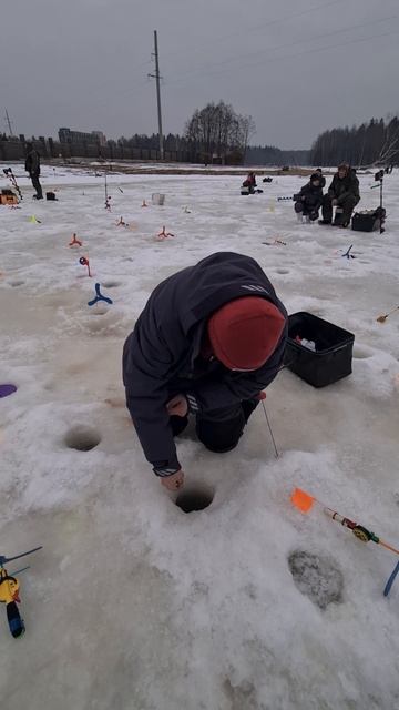 01.03.2025 г смотреть онлайн