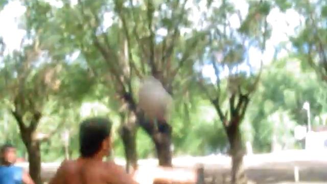 futbol-tenis vidal 06 смотреть онлайн