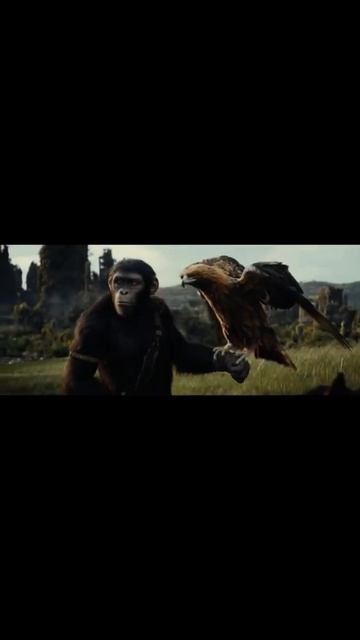 Kingdom of the planets of apes 2024 s #movie #movieclips #adventure #sciencefiction #action смотреть онлайн