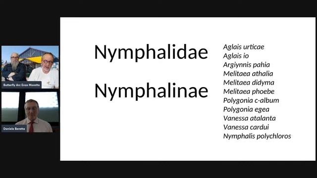 Secondo webinar gratuito. Farfalle dei Colli Euganei Nymphalidae e Pieridae смотреть онлайн