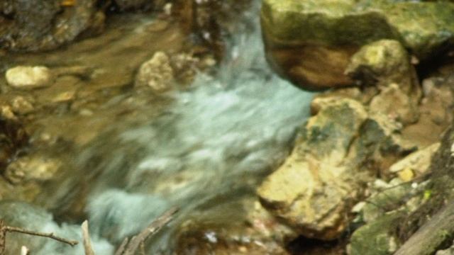 Цветение нити Исходник