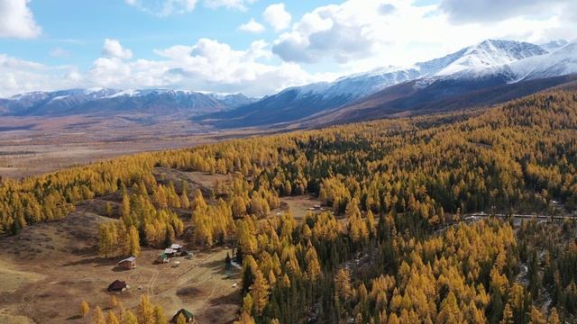 Курайская степь - Алтай смотреть онлайн