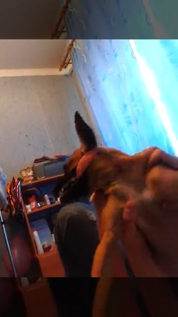 Боня! смотреть онлайн