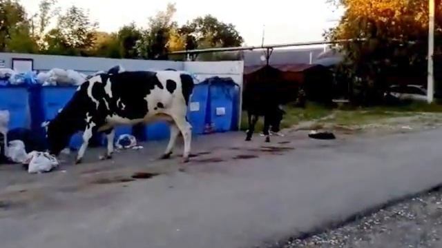 Производство бензина в сельской местности смотреть онлайн