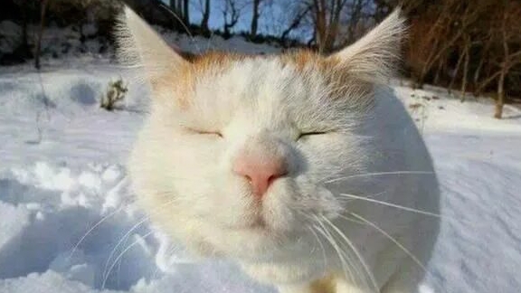 С первым днем весны🌹. смотреть онлайн