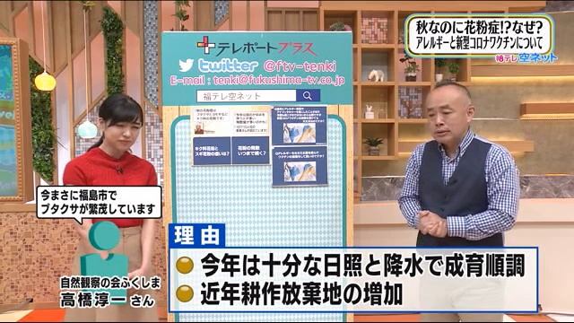 【秋なのに花粉症？例年より多い？その理由は？】空ネット（９月１５日放送） смотреть онлайн