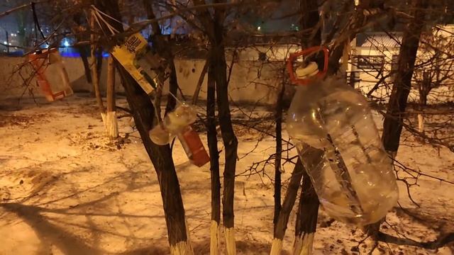 Кормушки из мусора. смотреть онлайн