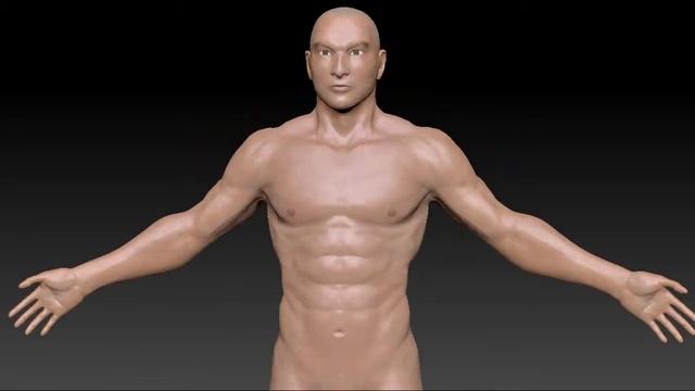 ZBrush Human modeling смотреть онлайн