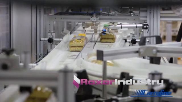 Транспортировка легких грузов. Конвейерная линия Carryline, Швеция смотреть онлайн