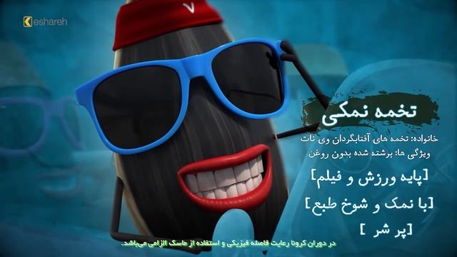 Vinut | Introducing Sunflower Seeds (2020)