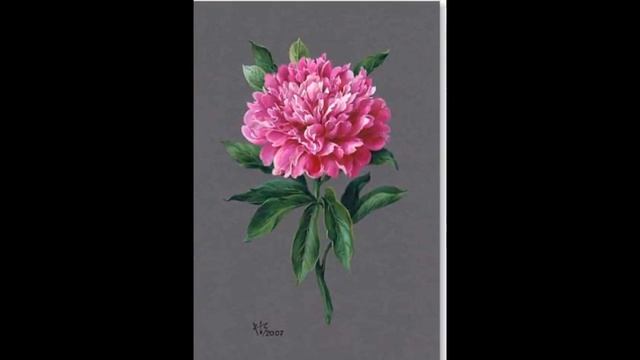 Творчество Натальи Заболоцкой. смотреть онлайн