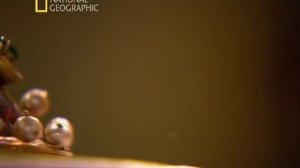 Секретные материалы древности 1 сезон 1 серия (документальный сериал, 2010)