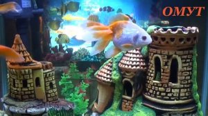 151. ПОГОВОРИМ про ПОСТ . И ВАШИ КОММЕНТЫ ДРУЗЬЯ ...