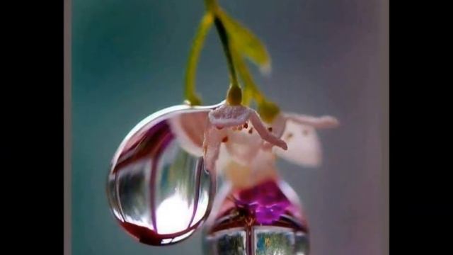 A soap bubble freezes to ice смотреть онлайн