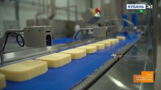Молочная продукция ｜ Мир сельского хозяйства 30 05 2023 смотреть онлайн
