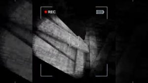 content warning ()_() и Олег