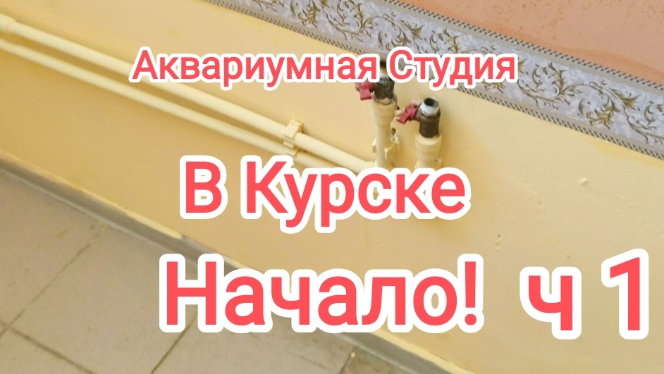 Аквариумная студия в Курске. Начало Ч1 смотреть онлайн