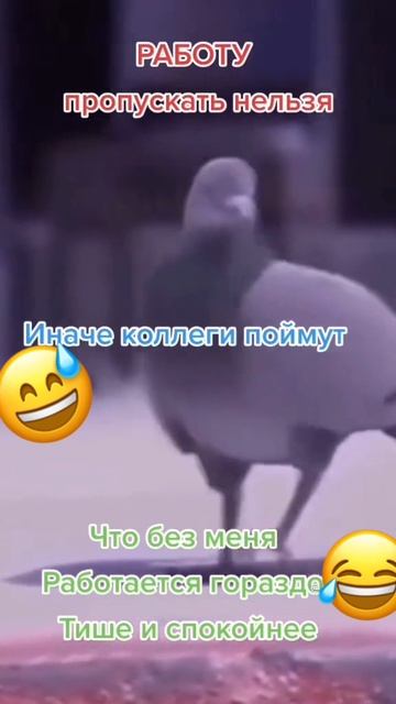 О разном и интересном