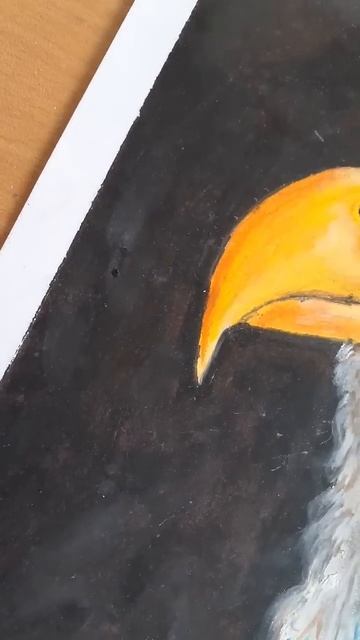 Realistic Eagle//#drawing #oilpastel #short