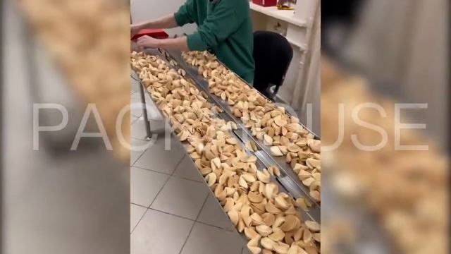 Горизонтальна машина для пакування печива, цукерок FlowPack-250 смотреть онлайн