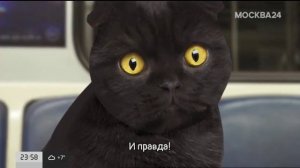 Уход на профилактику (Москва 24, 11.04.2023)