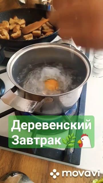 Завтрак пчеловода #пчеловодство #завтрак #пчелы #пасека #мёд #пашот смотреть онлайн