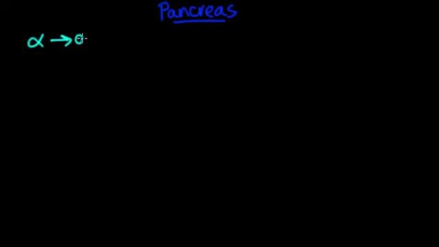 Endocrine System Part 3 смотреть онлайн