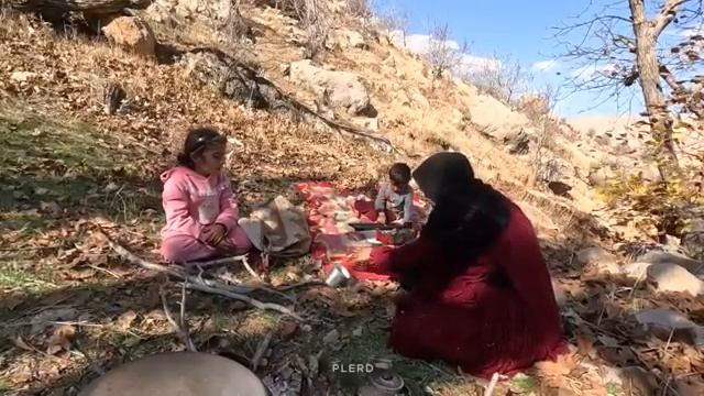 28.11.2023 Навыки выживания Неунывающая мать и трое детей Отправляются в зимнюю лесную экспедицию смотреть онлайн