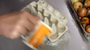 Зеленый лук больше не покупаю. Секреты по выращиванию зеленого лука в яичных лотках.