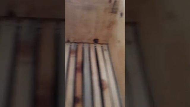 7 çıtalı ruşet kovanda imalatında sona yaklaştık смотреть онлайн