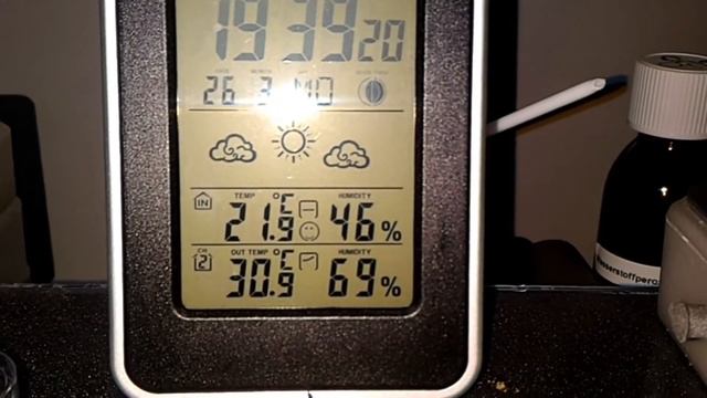 Ameisen, was habe ich grade auf Lager!?