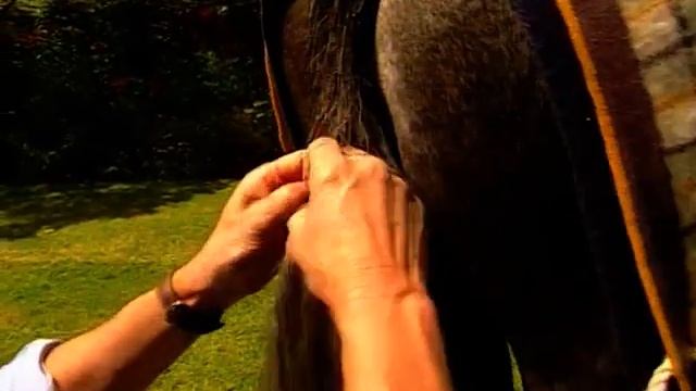 How to add a false tail to your Horse смотреть онлайн