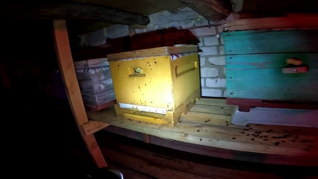 Расход кормов за февраль смотреть онлайн