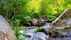 Сура Аль-Бакара  потрясающий голос
От которого тает сердце
Чтец: Ахмед Худр