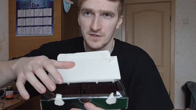 Обжор на Scholetta Mints. Шоколад с ментолом смотреть онлайн