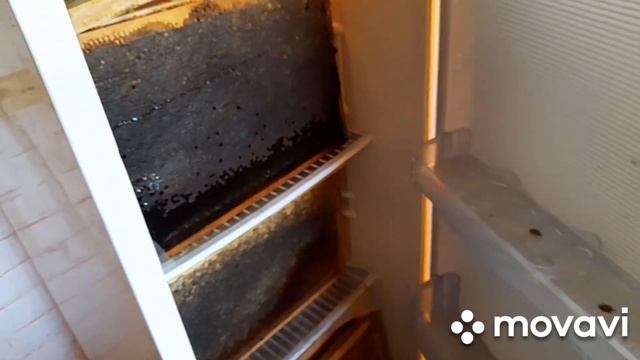 ГОТОВИМ ПЧЁЛ В ЗИМУ. ЗАКОРМ. КЛЕЩ 2.09.23#пчеловодство #пчелы #пасека #пасека смотреть онлайн