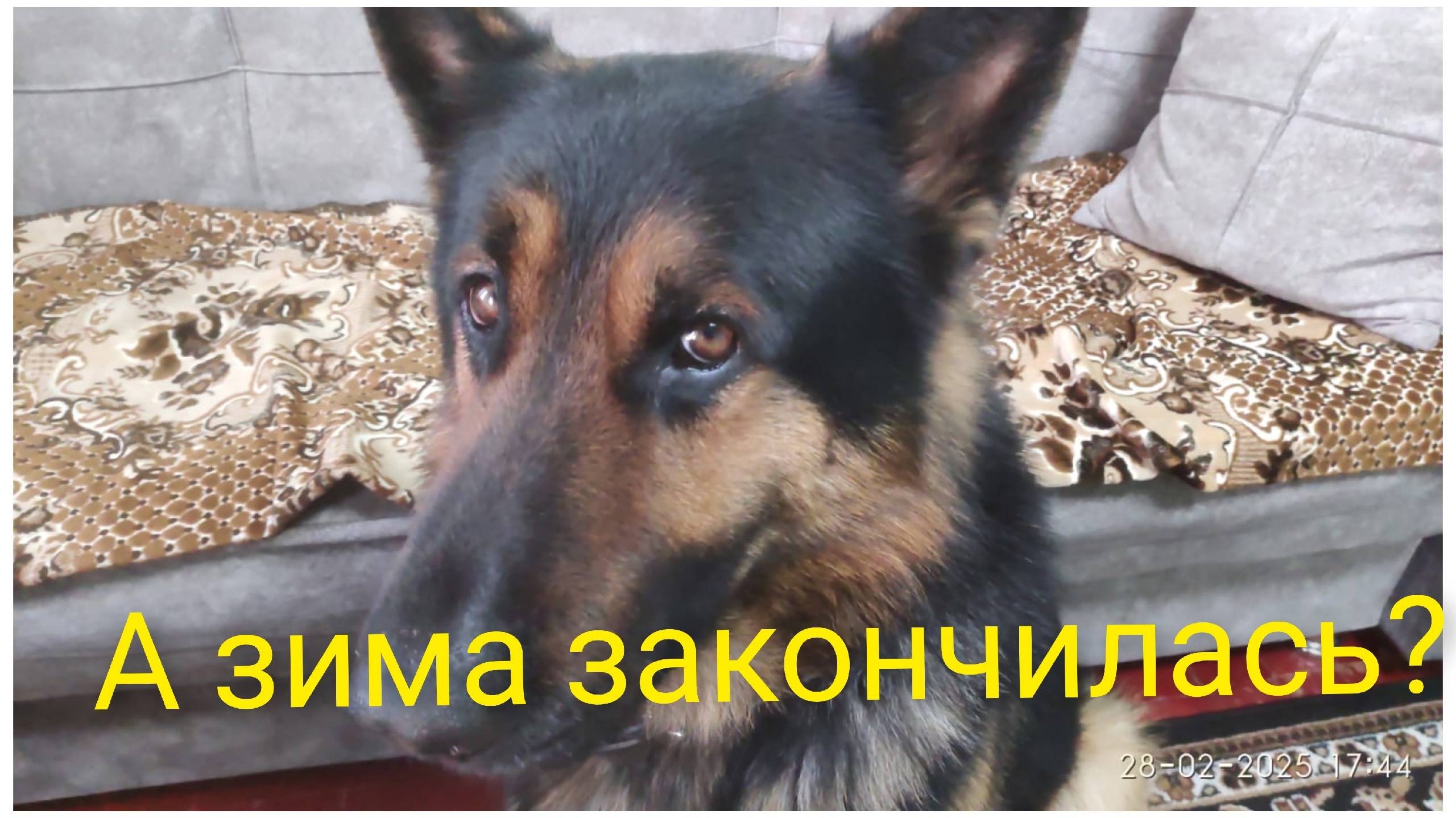 Урал-Кубань.Скоро всё изменится.А вы убрали ёлку? смотреть онлайн