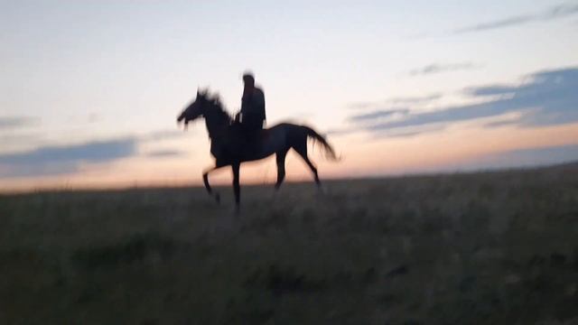 13 августа 2021 г. смотреть онлайн