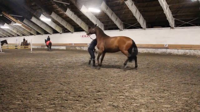 Первое задание от Маши Филимоненко часть 2 смотреть онлайн