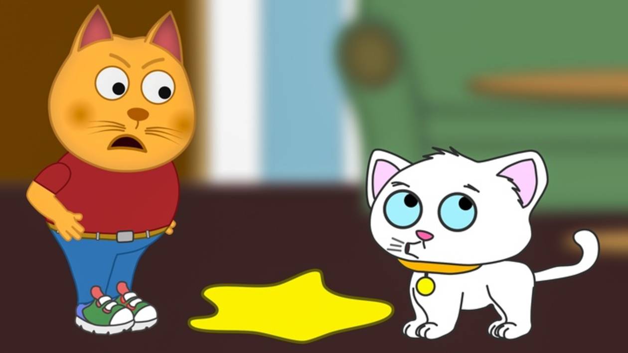 Стивен привел кота в дом мультфильмы для детей смотреть онлайн