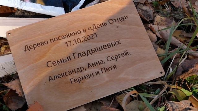 В День Отца 17 октября 2021 смотреть онлайн
