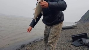 Рыбалка на резинку на реке Амур. 02.05.2024г.