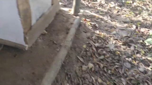 Обзор штаба смотреть онлайн