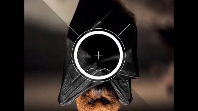 Kapibara - Mirimiri смотреть онлайн