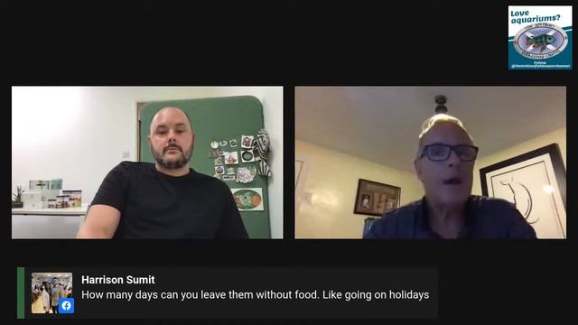 How to feed your fish correctly смотреть онлайн