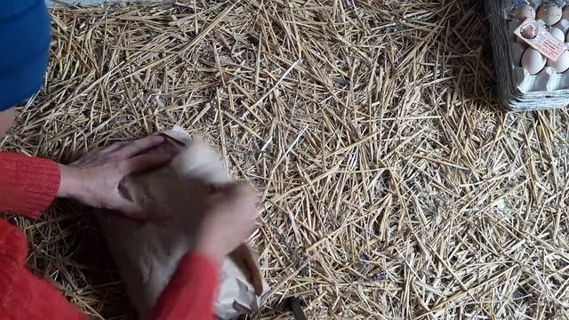 Посылка для пани Леси/Упаковка инкуб яйца/Яйцо почтой смотреть онлайн