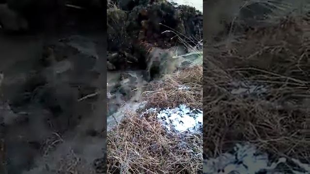 Чистим наш пруд. 23 ноября 2020 г.